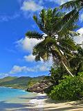 SEYCHELLES - 887 - Mahe, Anse Marie Louise